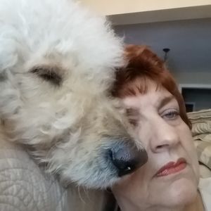 Meet your Posher, Peggy